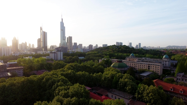 东南大学