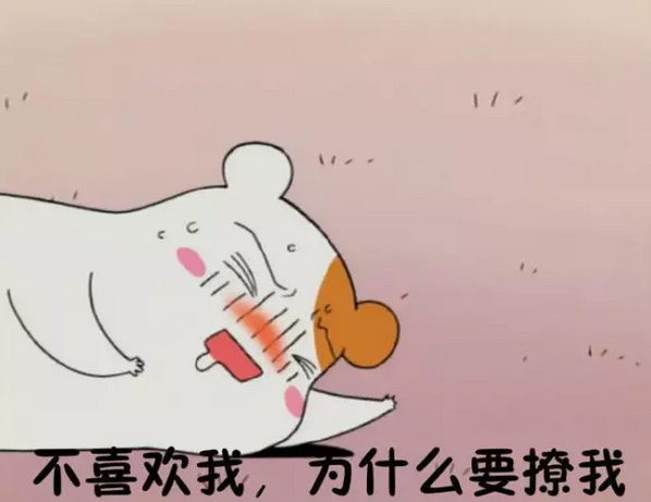 我要找一个研究生女朋友...但是这些专业的妹子我好像追不上