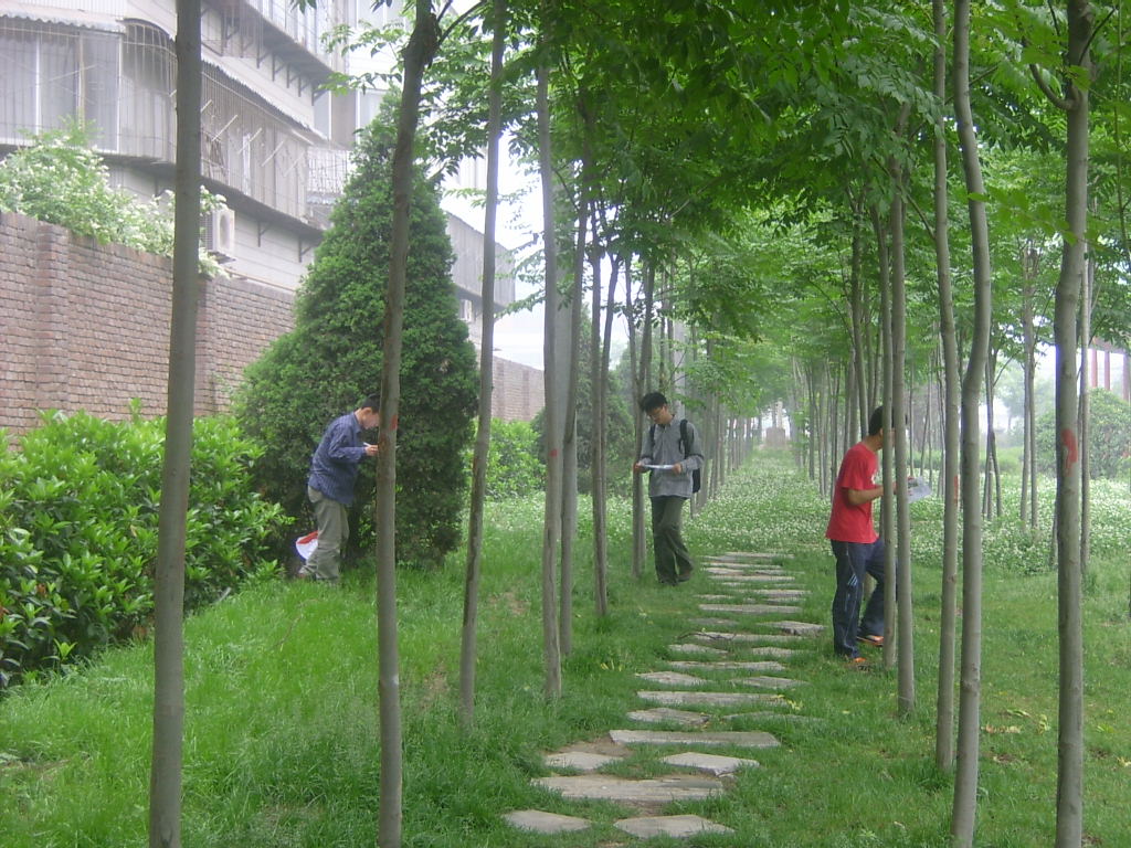 环境科学考研