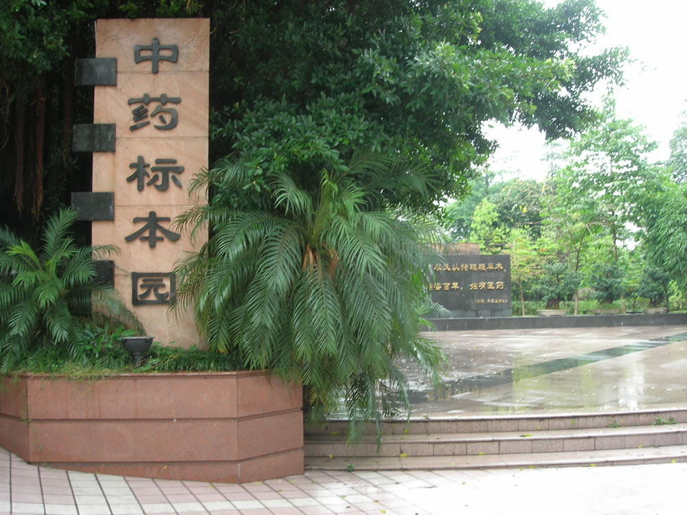 药事管理学考研
