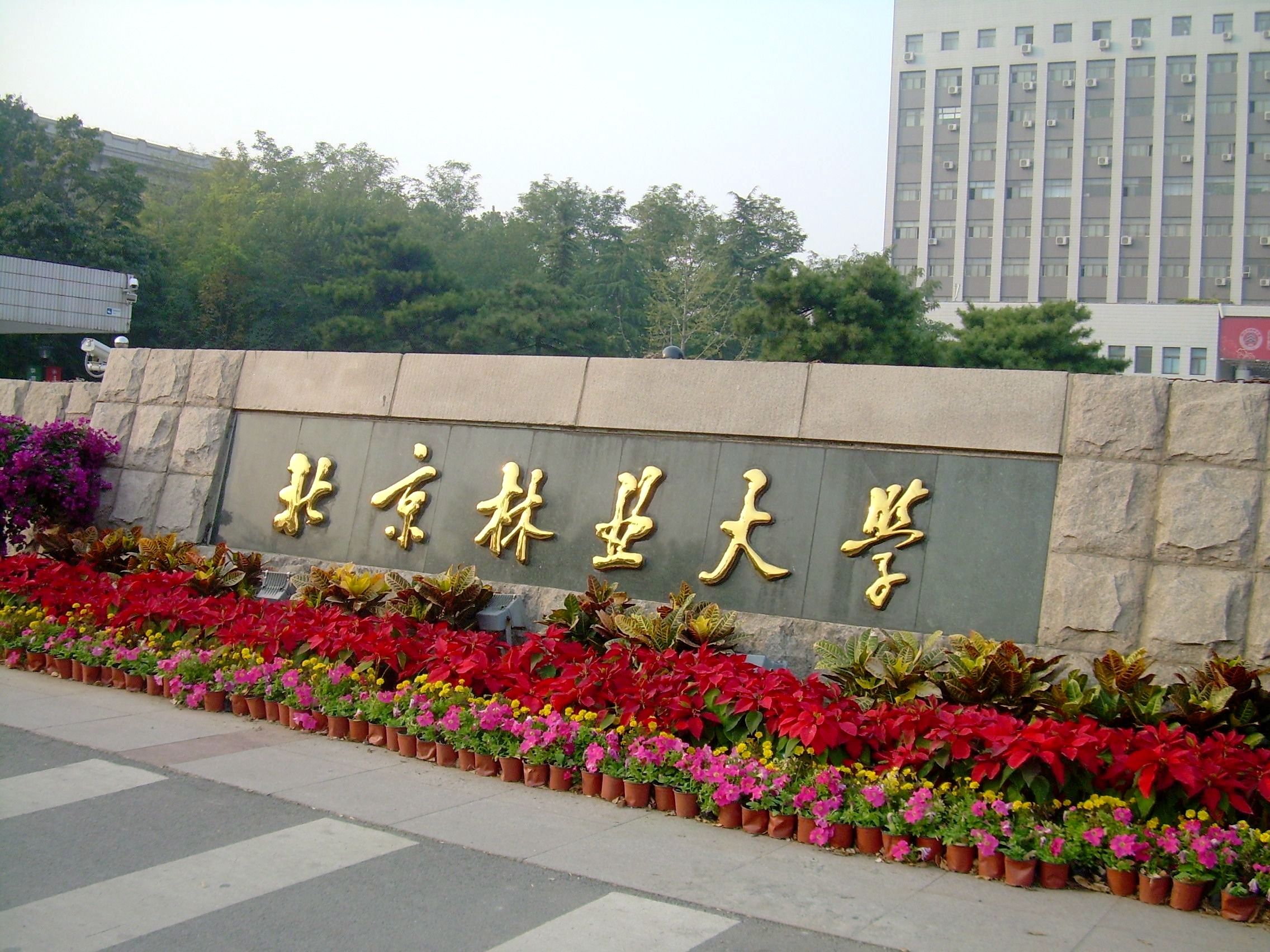 北京考研院校名单及排名