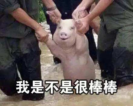 重庆艺术生考研全攻略详解(必看)
