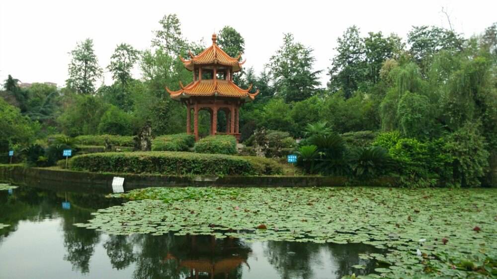 四川大学校园风光