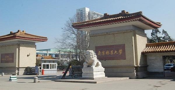 南京林业大学图片介绍