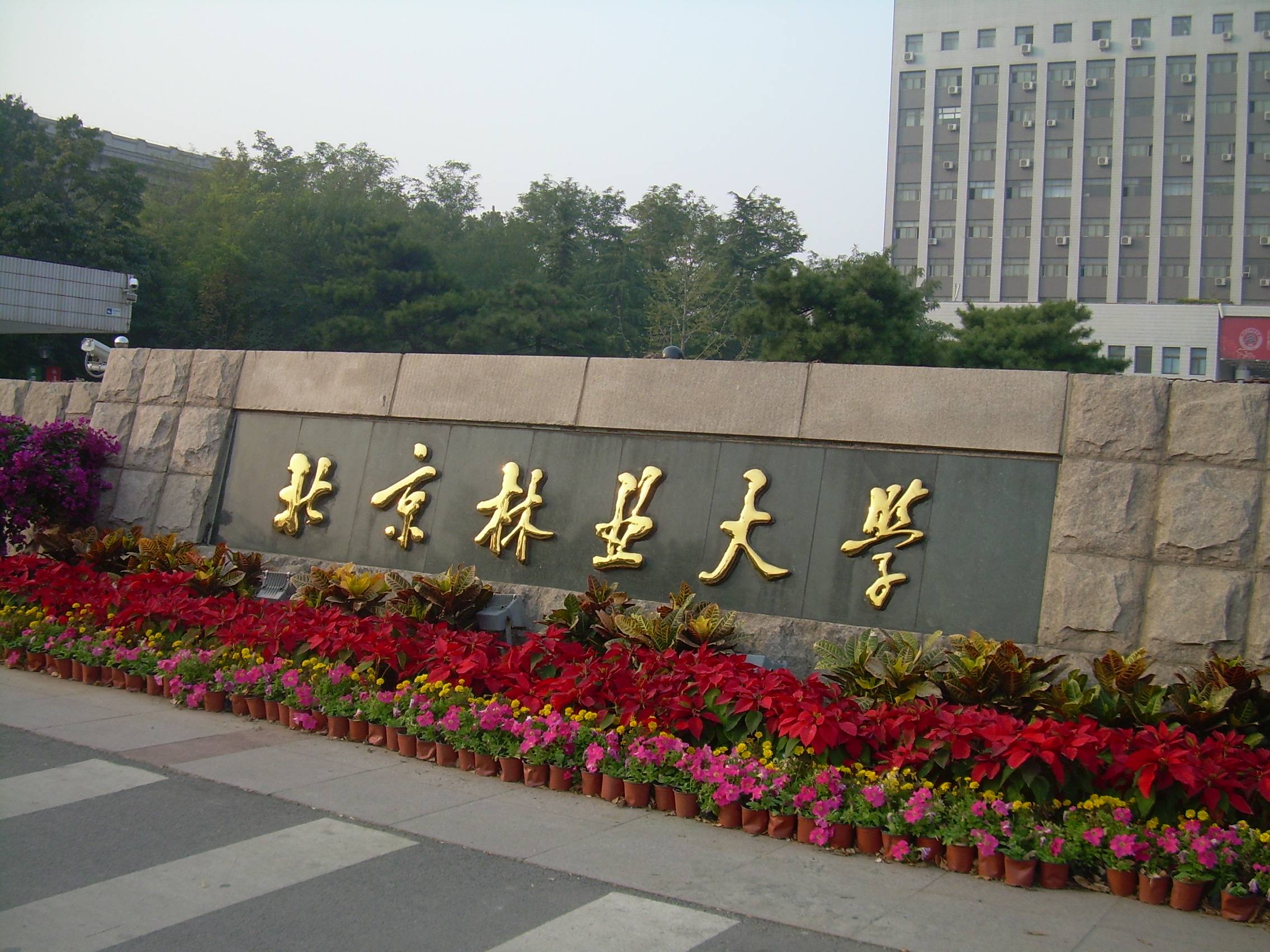 北京林业大学图片介绍