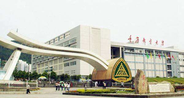 重庆邮电大学图片介绍