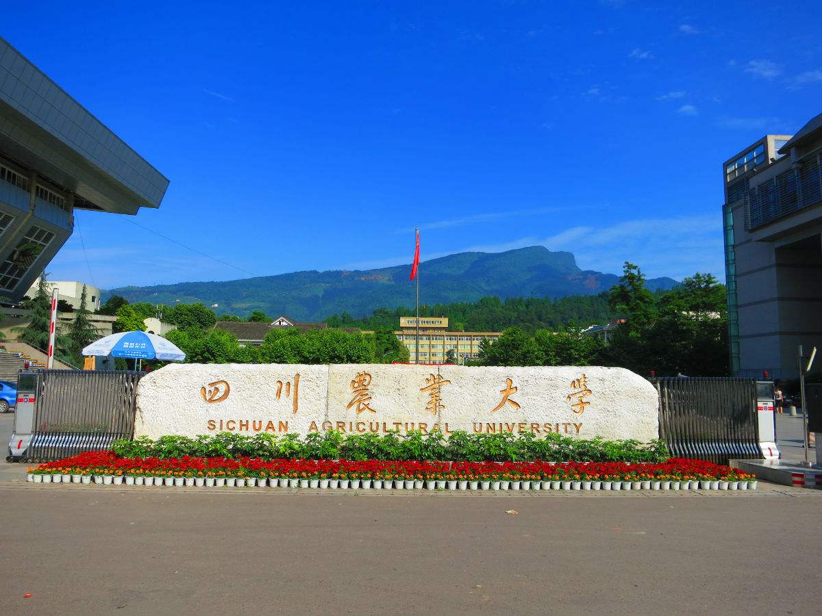 四川农业大学图片介绍