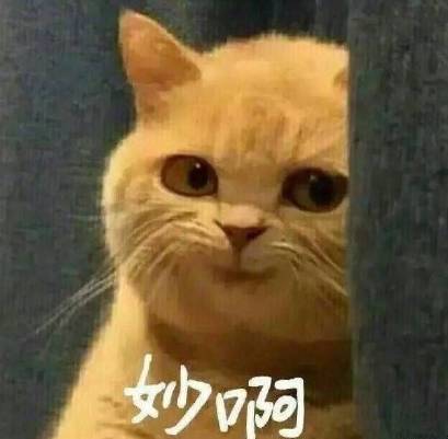 给19考研学子英语复习建议