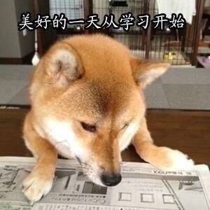 考研学习之柴犬表情包!