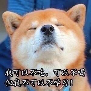 考研学习之柴犬表情包!