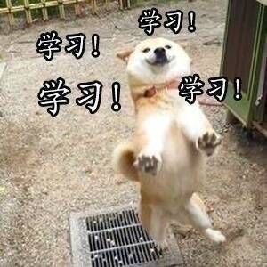 考研学习之柴犬表情包!