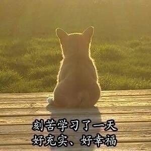 考研学习之柴犬表情包!