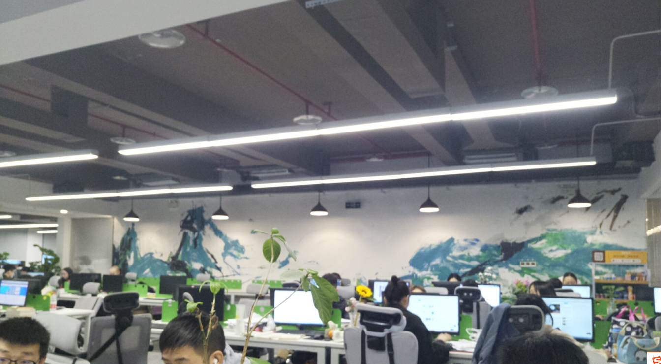 考研需要报班吗？网课哪家好