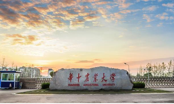 华中农业大学院校图片